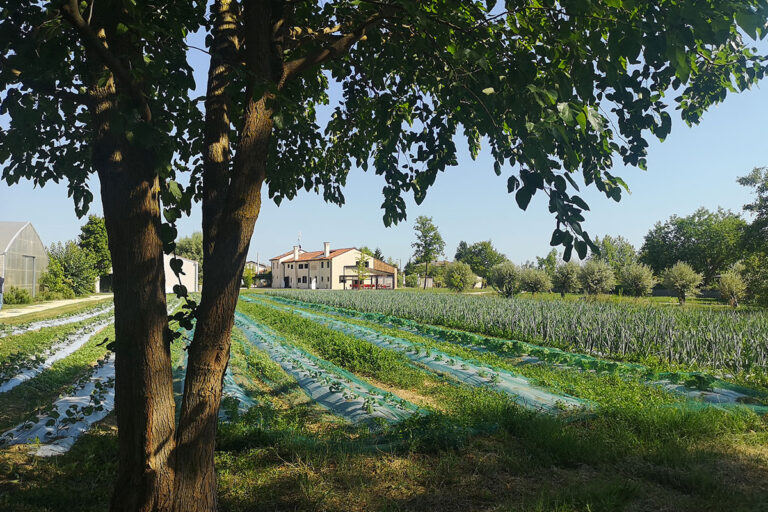 casa-di-anna-vista-terreni