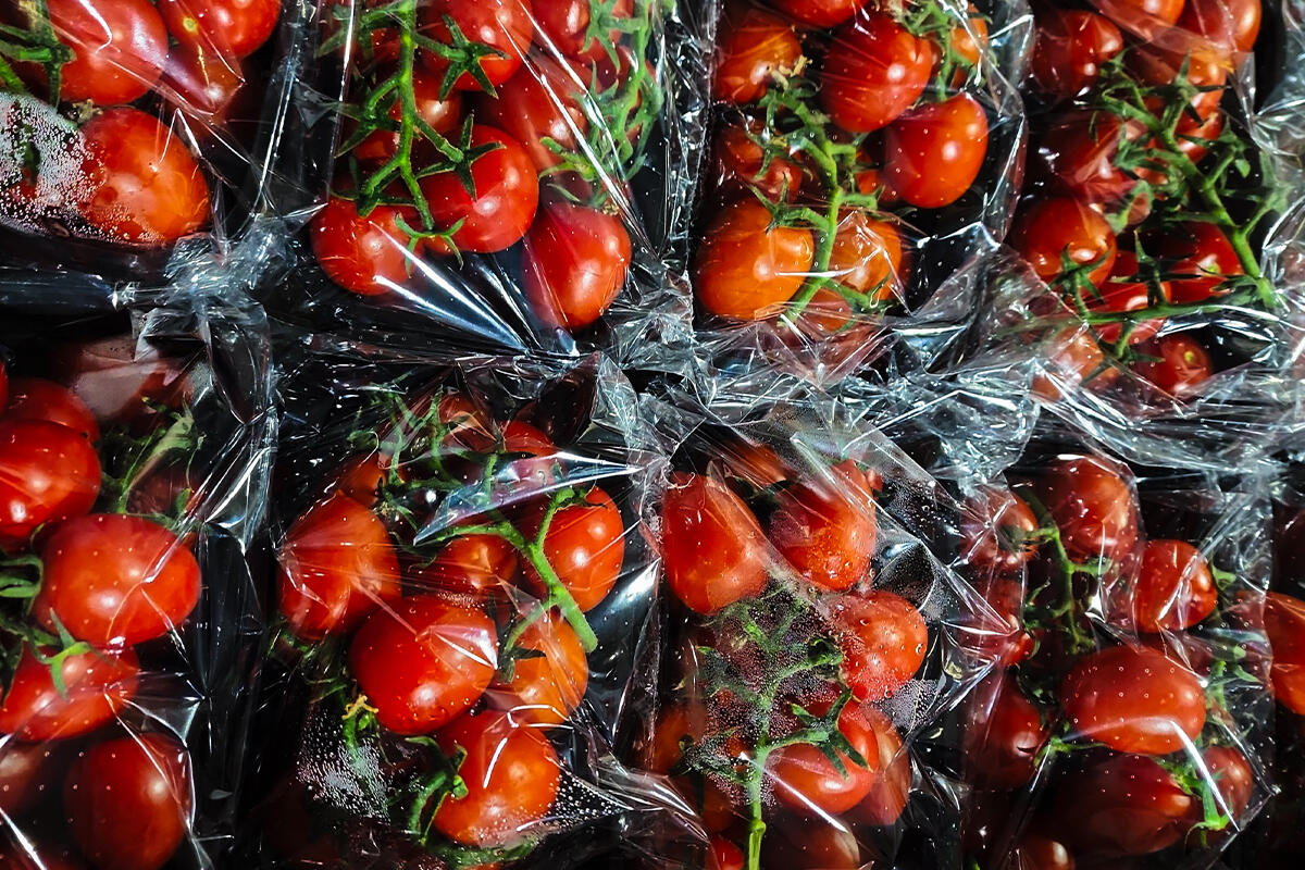 packaging-plastica-pomodori