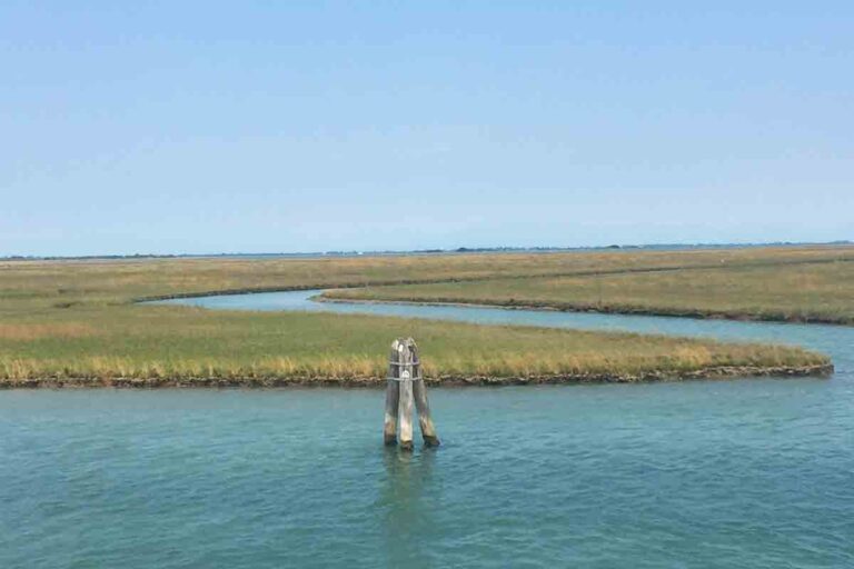 panorama-laguna.briccole-zone-umide-venezia