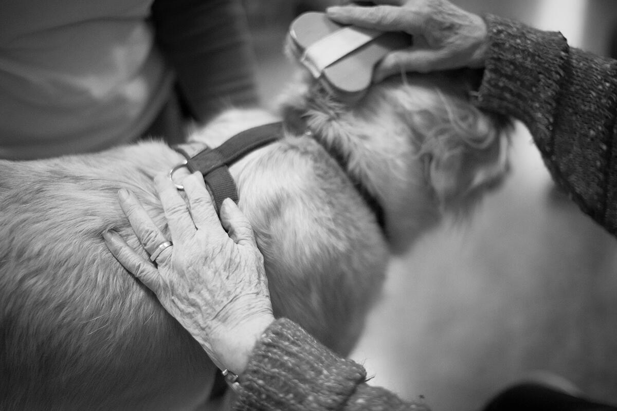 cani-per-caso-pet-therapy-anziani
